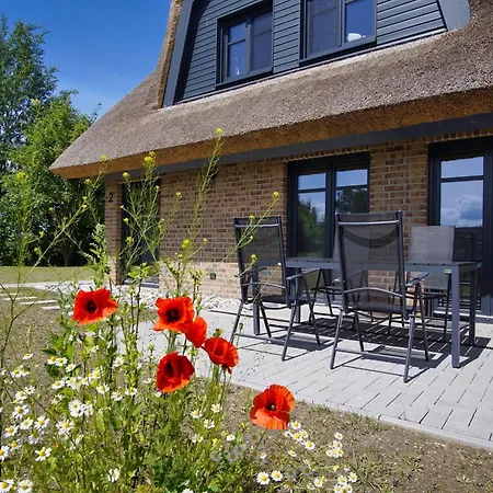 Strandhaus Jolu Ferienhaus *