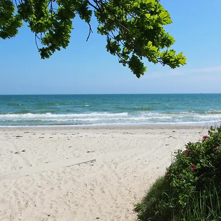 Strandhaus Jolu Ferienhaus Lobbe